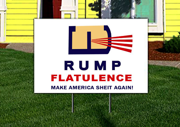 Trump-Pence-for-President-2016-Political-Yard-Sign-with-Ground-Stake-by-BuildASign-0-1-in-yard-581369f85594e.jpg