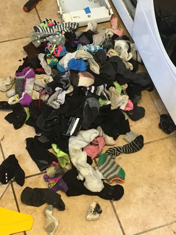 Turns Out Washing Machines Do Eat Socks, But There Were More Surprising Things That We Found…