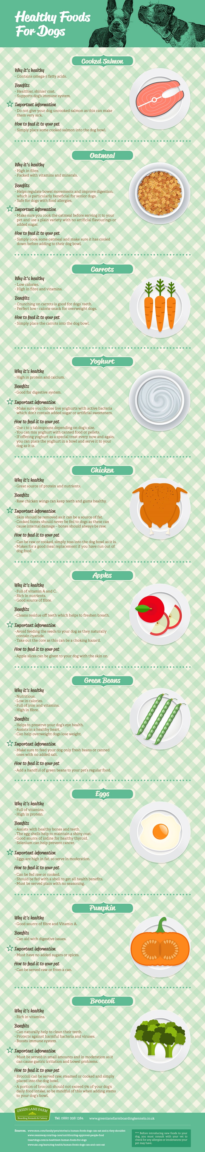 We Have Put Together A List Of 10 Healthy Snacks For Your Dog We Have Put Together A List Of 10 Healthy Snacks For Your Dog