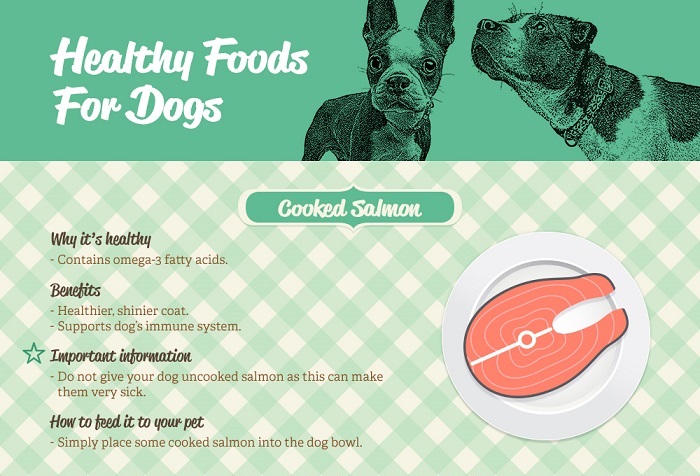 We Have Put Together A List Of 10 Healthy Snacks For Your Dog We Have Put Together A List Of 10 Healthy Snacks For Your Dog