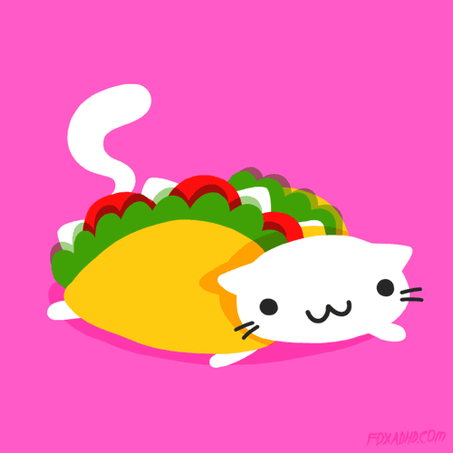 Taco Cat!