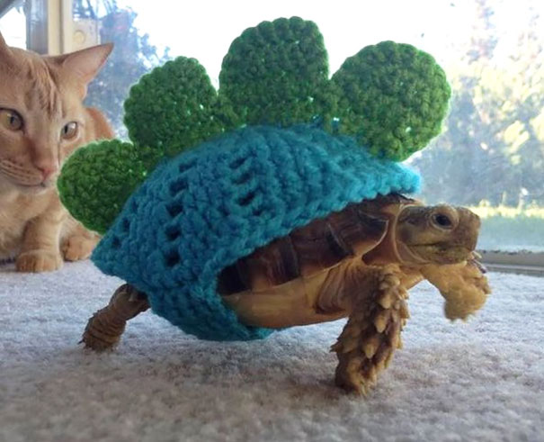 Tortoise Sweater