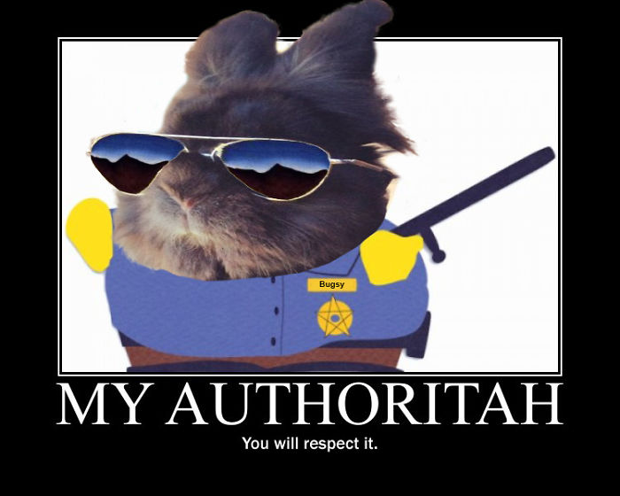 Respect My Authoritah!