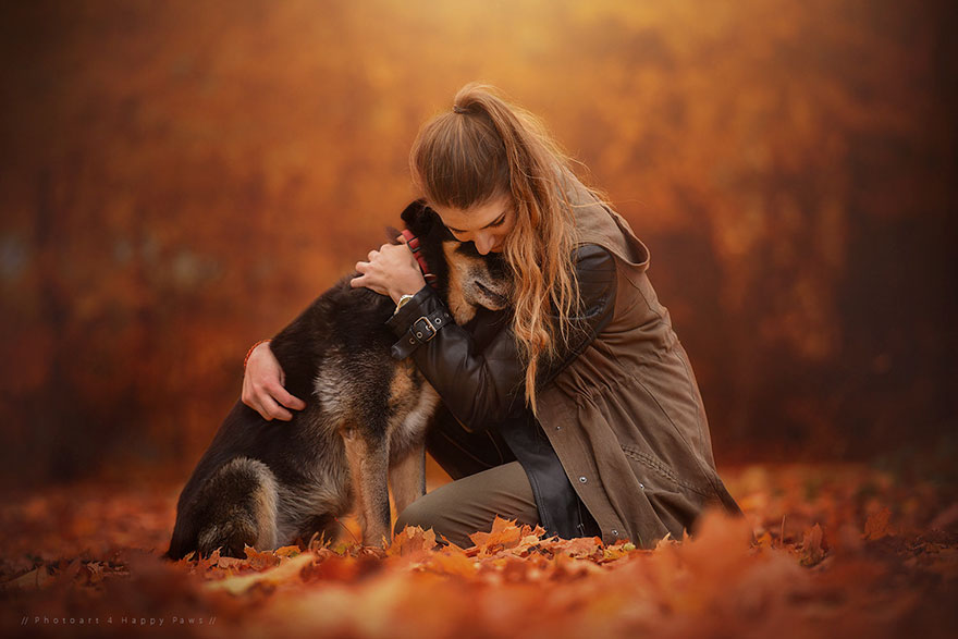 autumn-dog-photography-anne-geier-31
