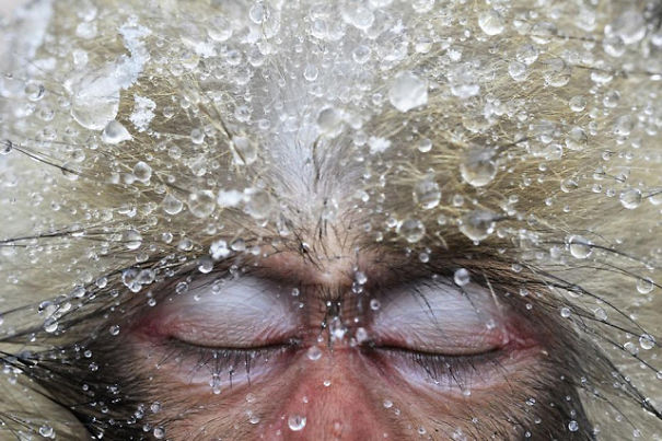 Award Winning Photos