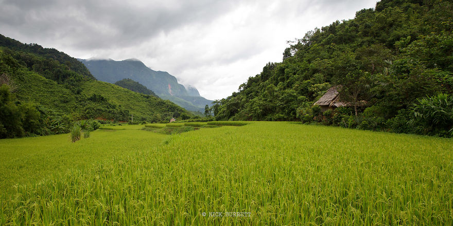 Why You Definitely Shouldn't Visit Laos!