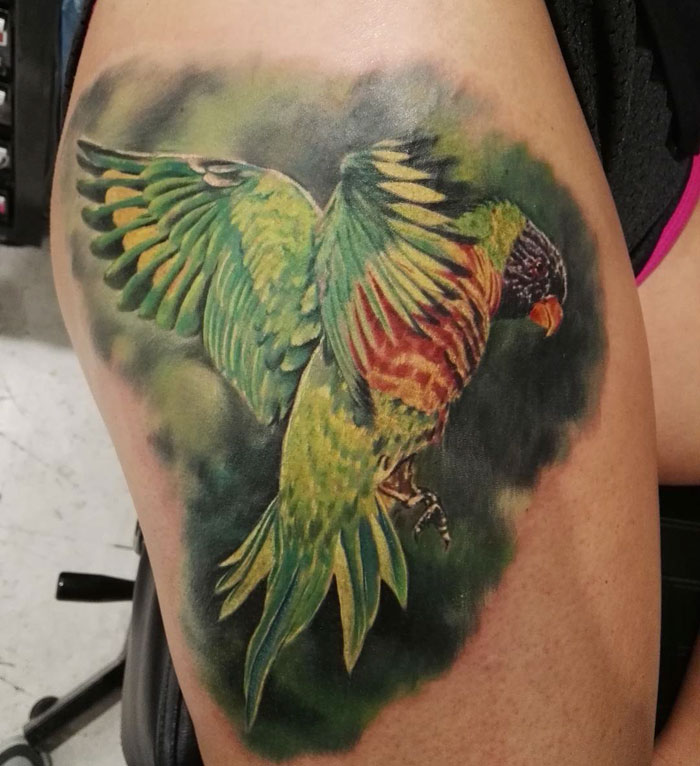 Colorful leg bird tattoo 