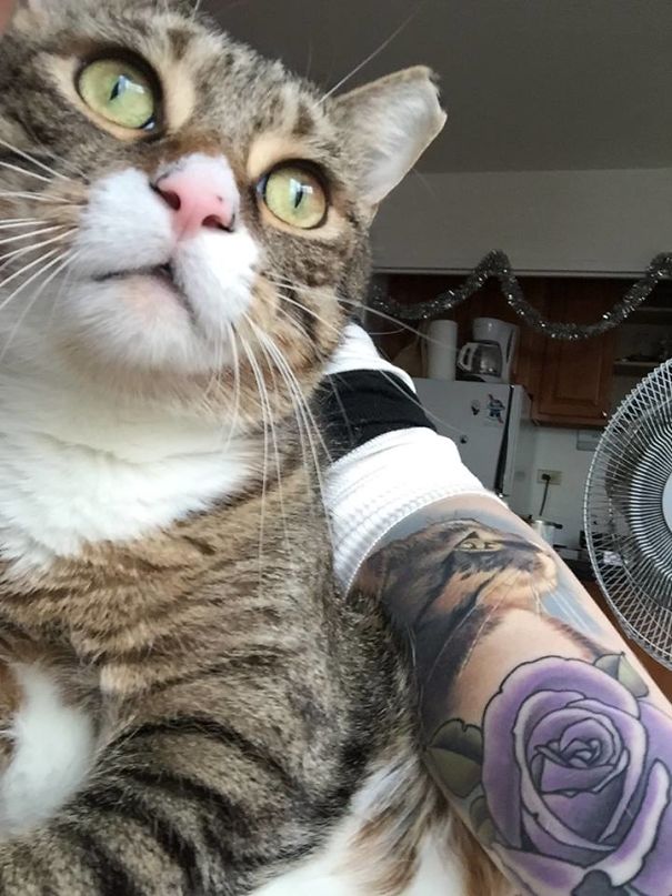 Cat portrait arm tattoo