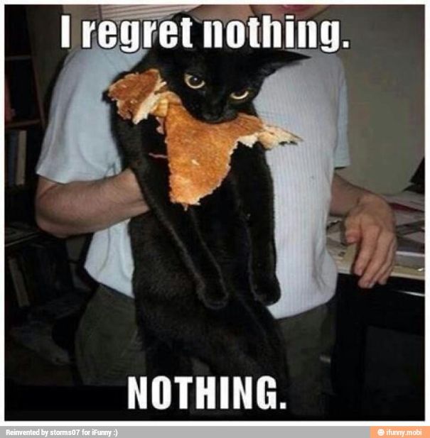 cat-regrets-nothing-2-580d195c2b357.jpg
