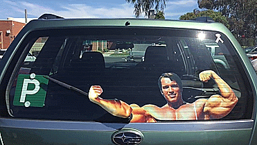 Arnold Schwarzenegger Windscreen Wiper