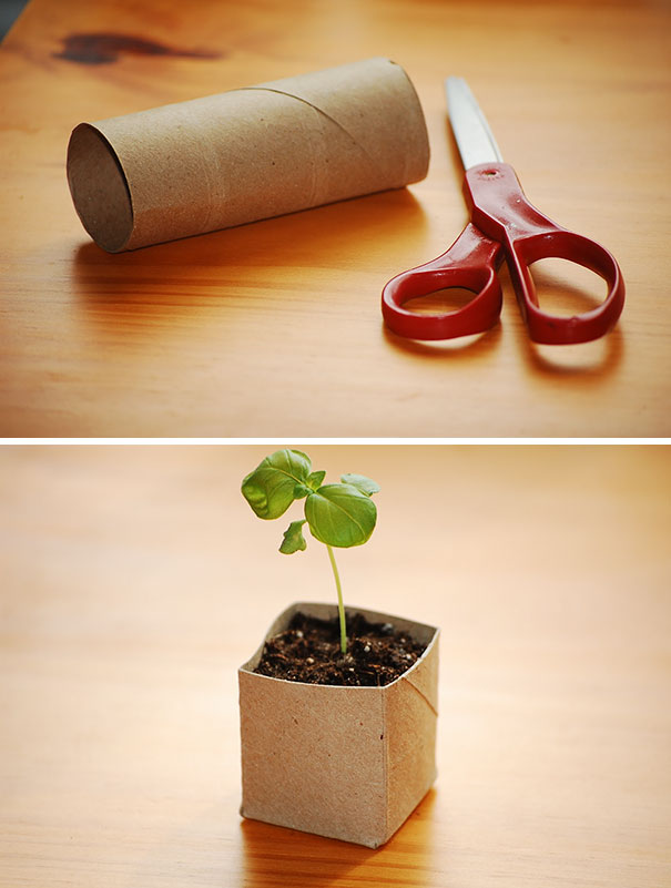 Use Toilet Paper Rolls As Seed Starting Pots