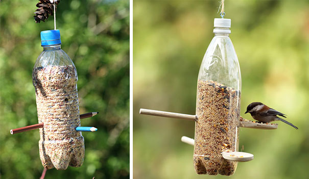 You Can Use A Plastic Bottle To Make A Bird Feeder