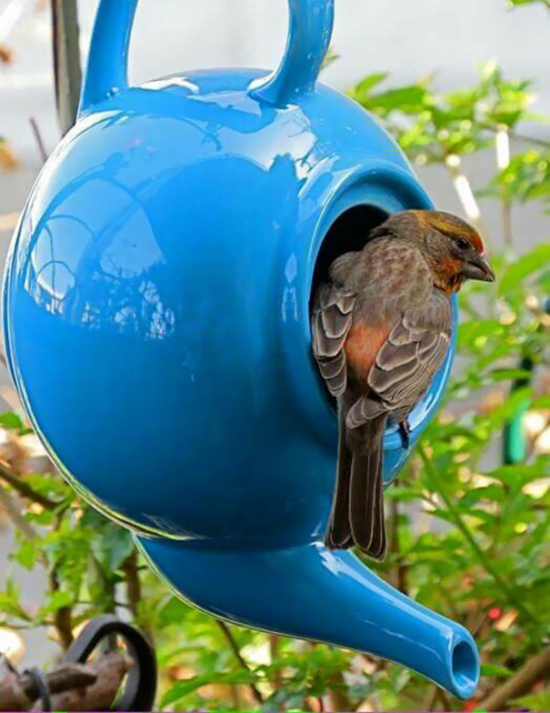 You Can Use A Teapot To Make A Bird House