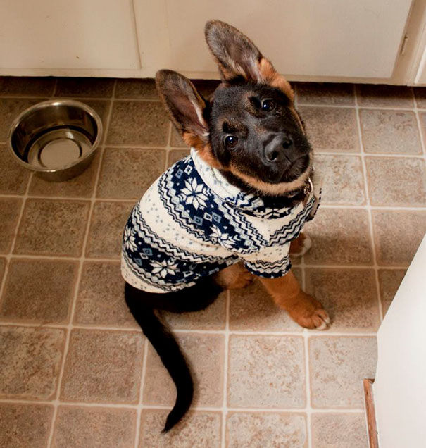 My Boyfriend Let Me Buy Him One Sweater Before We Went To The Mountains