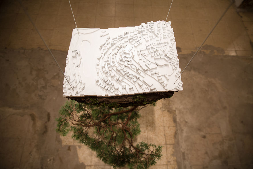Young Designers Combine Conceptual Art With Bonsai Trees