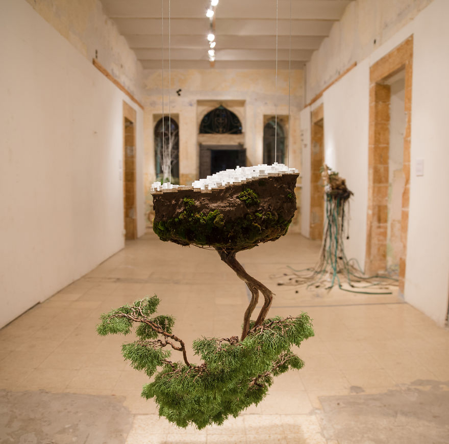 Young Designers Combine Conceptual Art With Bonsai Trees