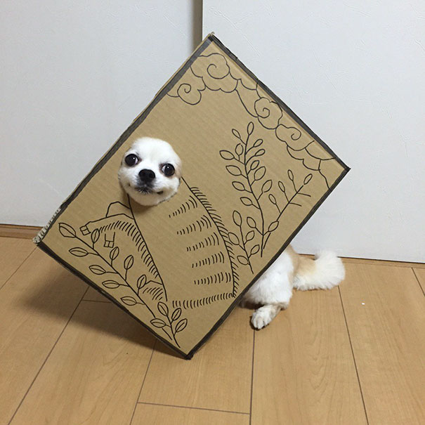 Cardboard Costume