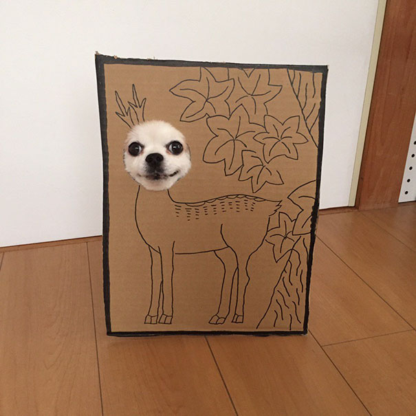 Cardboard Costume