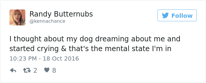 Experts Say Dogs Dream About Their Humans, People Can't Stop Crying