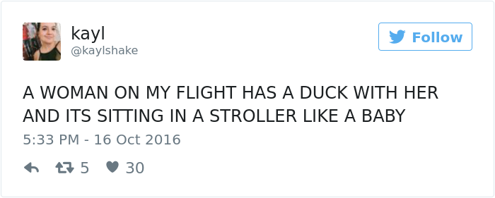emotional-support-duck-flight-5