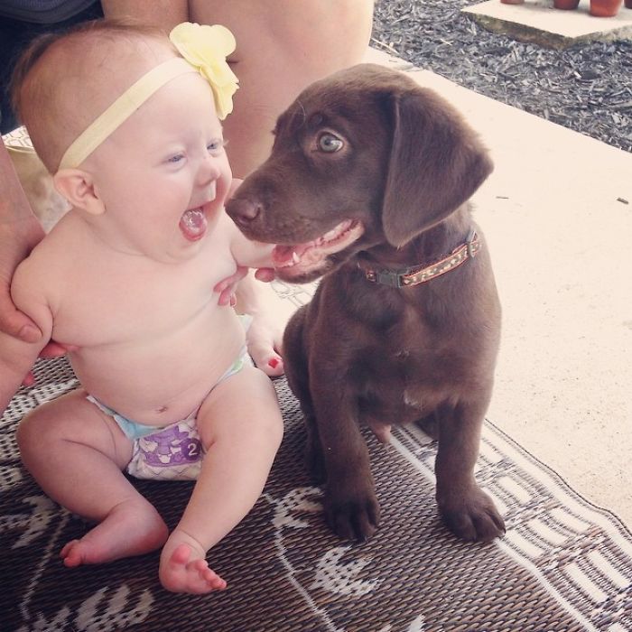My Best Friends Baby Met Her First Puppy