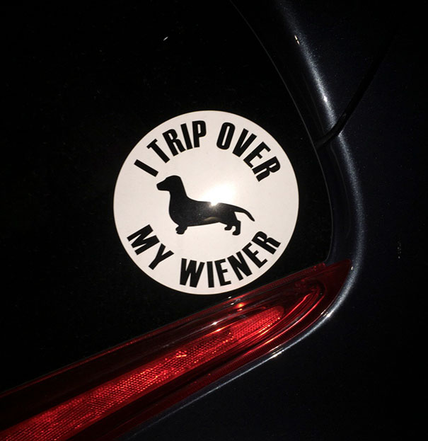 I Trip Over My Wiener