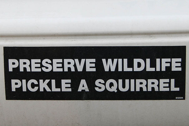 Preserve Wildlife