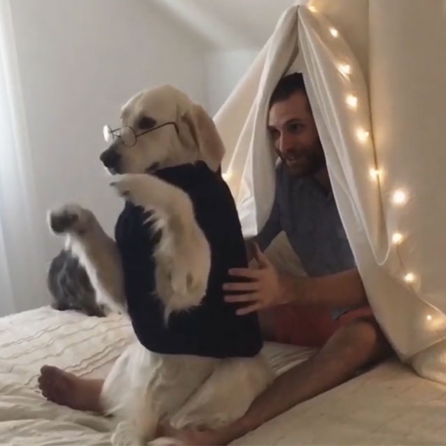 Guy Teaches Dog To Trust Fall