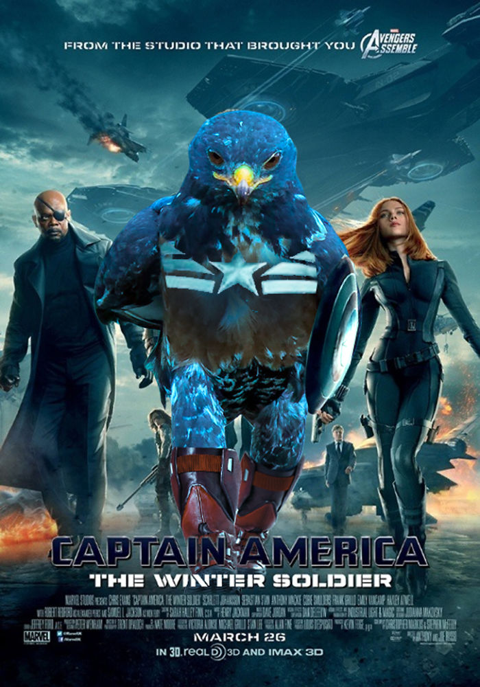 Hawk America - Winter Soldier