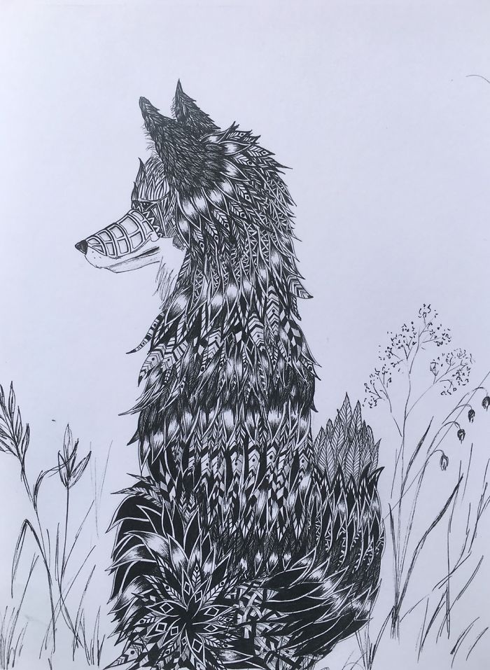 I Spend Weeks Re-Designing Animals, People And Other Subjects With Pencil And Ink