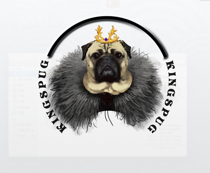 I Create Brand Kingspug,share With Pug Fans!