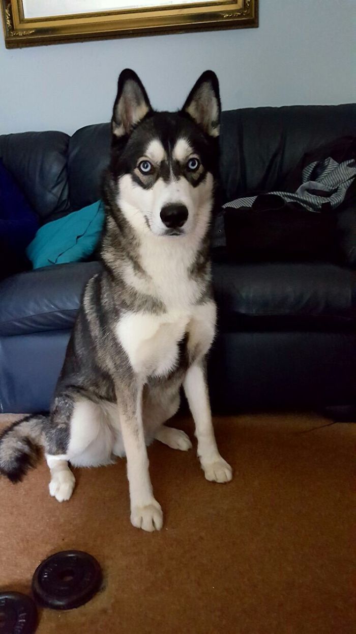 My Pretty Boy