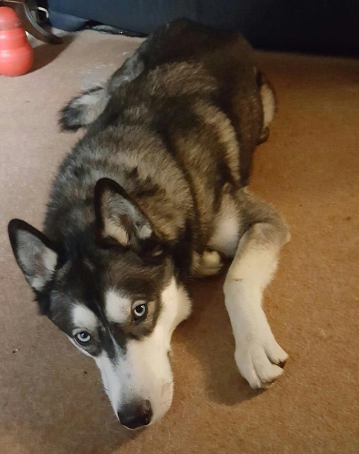 My Pretty Boy