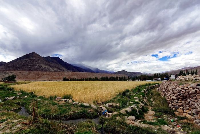 Valleys Of India Valleys Of India