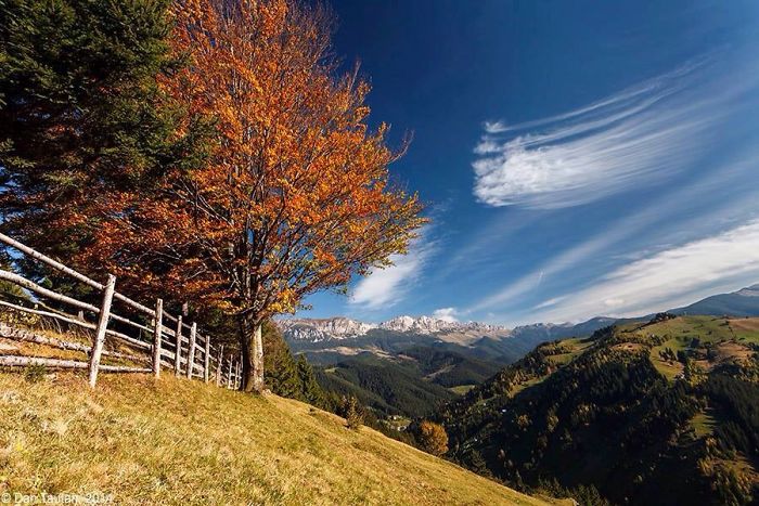A Magic Land!autumn In Romania!