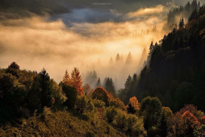 A Magic Land!autumn In Romania!