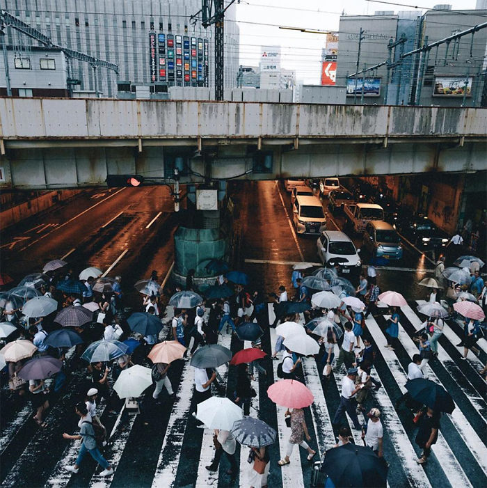 Crowded Japan street photography scene with people crossing under umbrellas at a busy urban intersection in the rain.