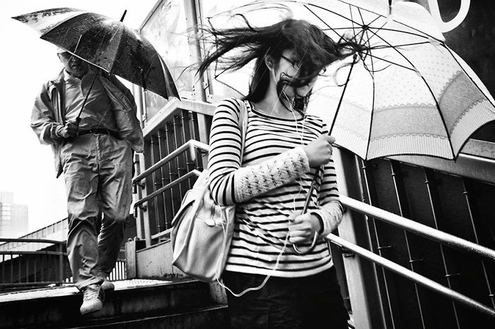 Black and white Japan street photography of people with umbrellas walking on stairs in windy weather.