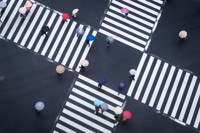 Aerial view of people with colorful umbrellas crossing a busy intersection, showcasing Japan street photography.