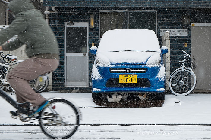 Snow-covered blue car in a Japan street scene with a cyclist and bicycles during heavy snowfall, showcasing Japan street photography.