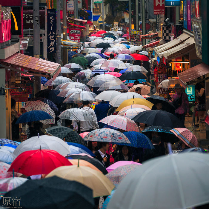 Crowded Tokyo street filled with colorful umbrellas during rain, showcasing Japan street photography capturing everyday urban life.