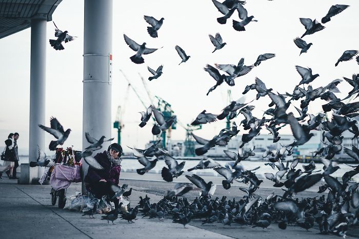 Street photography in Japan showing a person feeding pigeons with urban background and flying birds in motion.