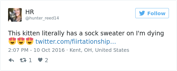 kitten-tube-sock-sweater-hurricane-matthew-6