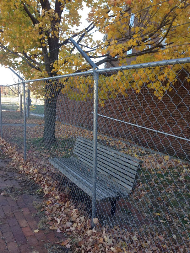 Bench near the fence