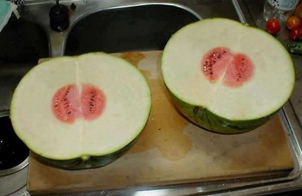 Watermelon with small fruit inside