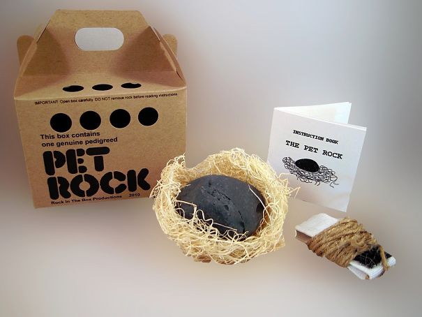 Picture of pet rock with box