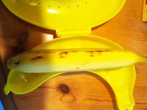 Banana holder with banana