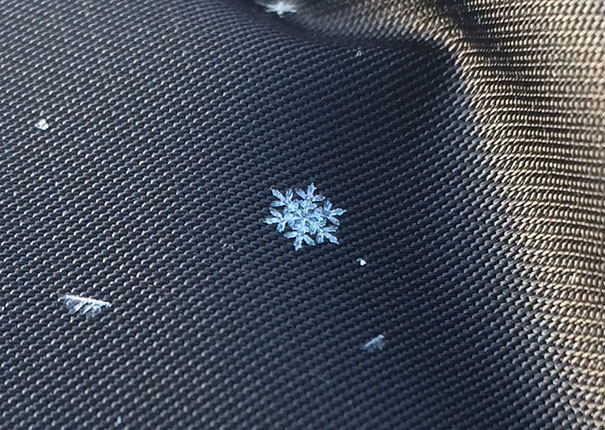 A Perfect Snowflake Landed On Me