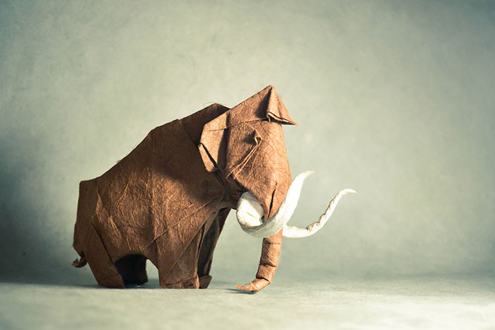 140 Incredible Origami Animals By Spanish Artist Gonzalo Calvo