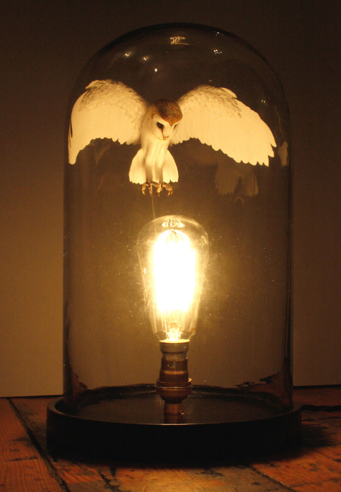 Hand Made Paper And Wood Barn Owl In Bell Jar With Light